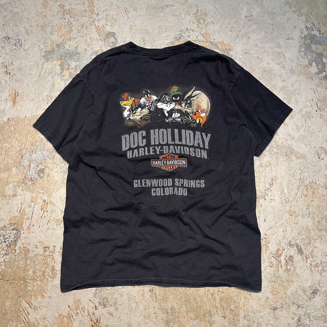 古着 Harley-Davidson/ハーレー ダビッドソン / ワーナーブラザーズ / コロラド州 グレンウッド･スプリングス ストア  / プリントTシャツ / サイズL相当