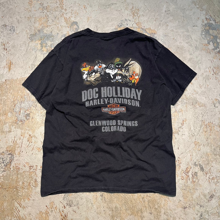 古着 Harley-Davidson/ハーレー ダビッドソン / ワーナーブラザーズ / コロラド州 グレンウッド･スプリングス ストア  / プリントTシャツ / サイズL相当