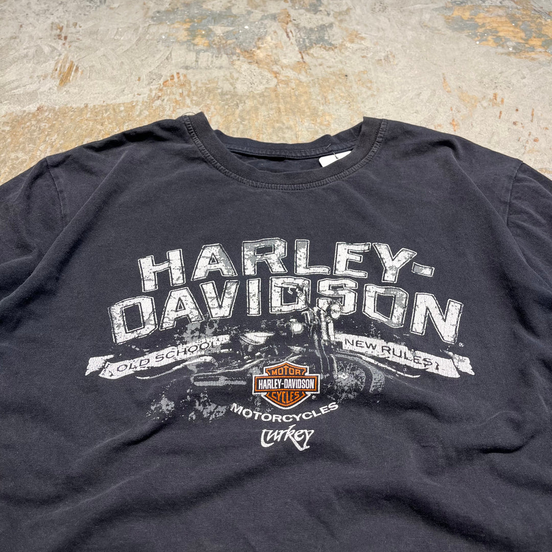古着 Harley-Davidson/ハーレー ダビッドソン トルコ共和国 プリントTシャツ サイズL相当