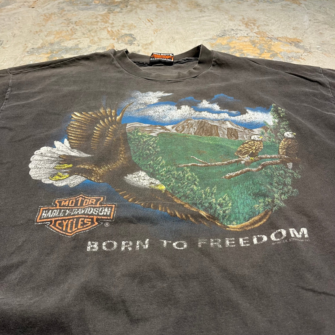 #4292 Harley-Davidson/ハーレーダビッドソン/short sleeve t-shirt Tee/シングルステッチ/半袖Tシャツ/MADE IN U.S.A/サイズXL