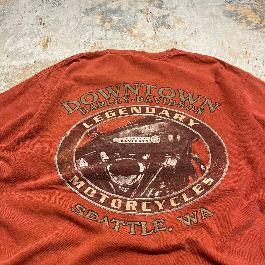 古着 USA製 Harley-Davidson/ハーレー ダビッドソン ワシントン州 ダウンタウン･シアトル プリントTシャツ サイズL