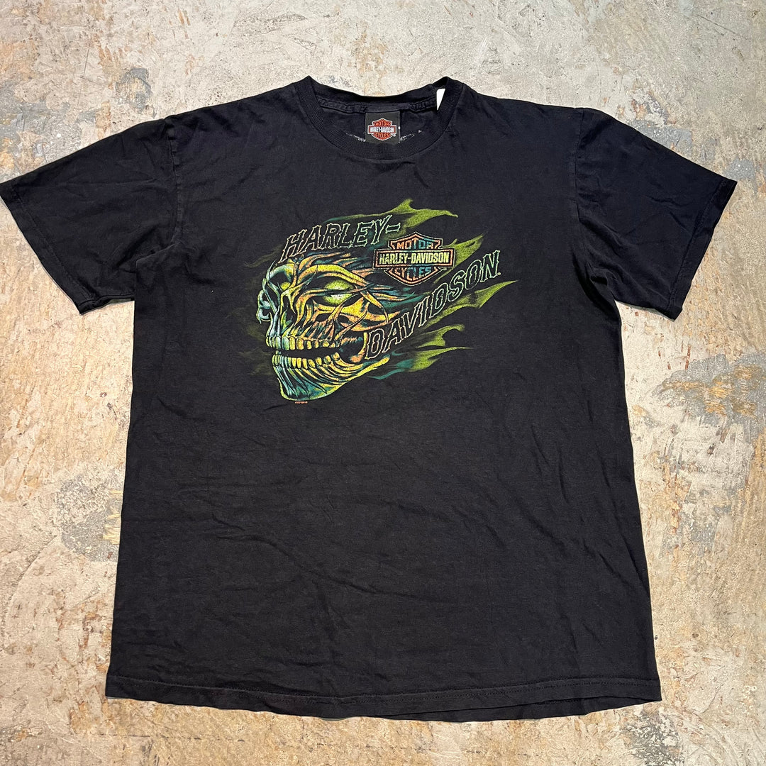 古着 Harley-Davidson/ハーレーダビッドソン/ プリントTシャツ/ サイズL