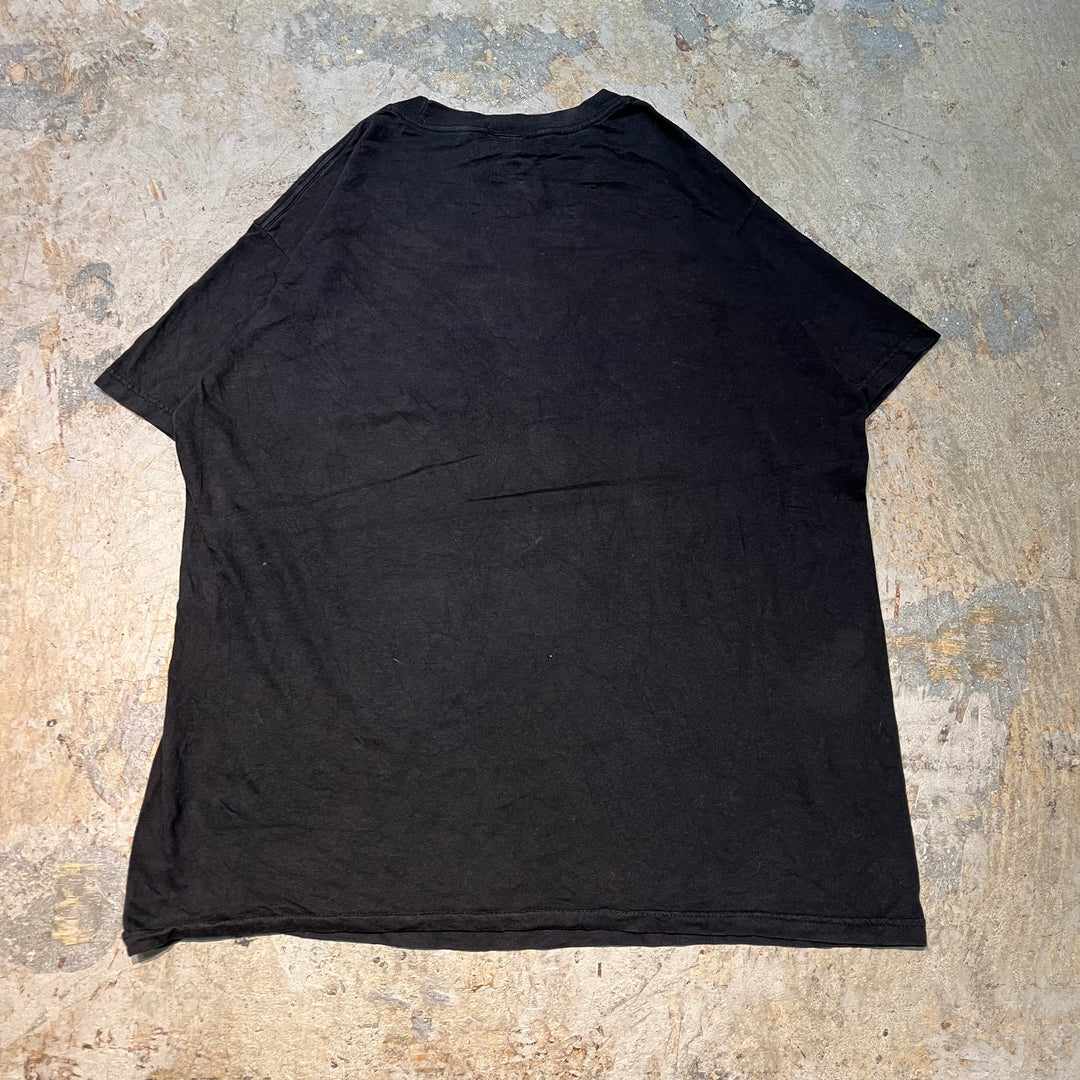 古着 MARVEL/マーベル/PUNISHER/パニッシャー/プリントTシャツ/ サイズL