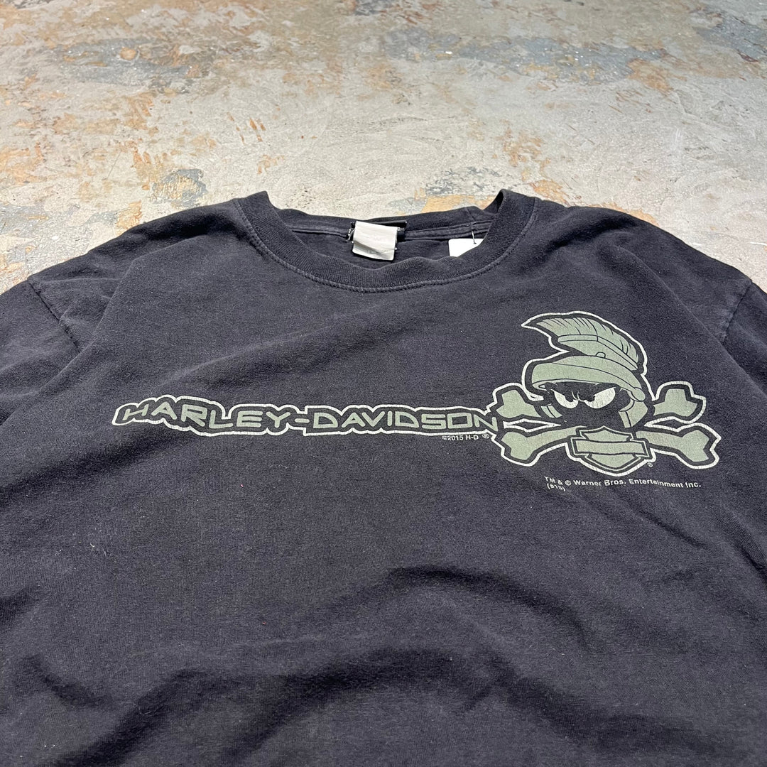 古着 Harley-Davidson/ハーレー ダビッドソン / ワーナーブラザーズ / コロラド州 グレンウッド･スプリングス ストア  / プリントTシャツ / サイズL相当