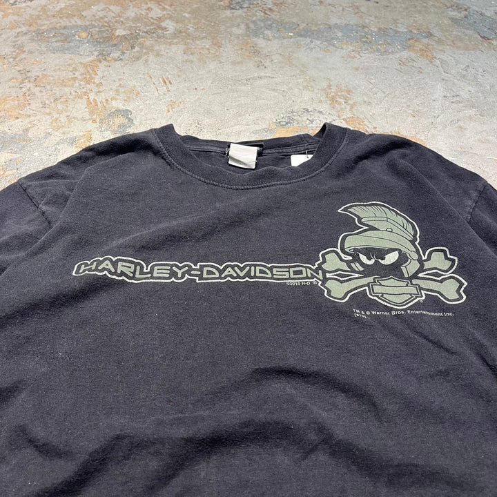 古着 Harley-Davidson/ハーレー ダビッドソン / ワーナーブラザーズ / コロラド州 グレンウッド･スプリングス ストア  / プリントTシャツ / サイズL相当