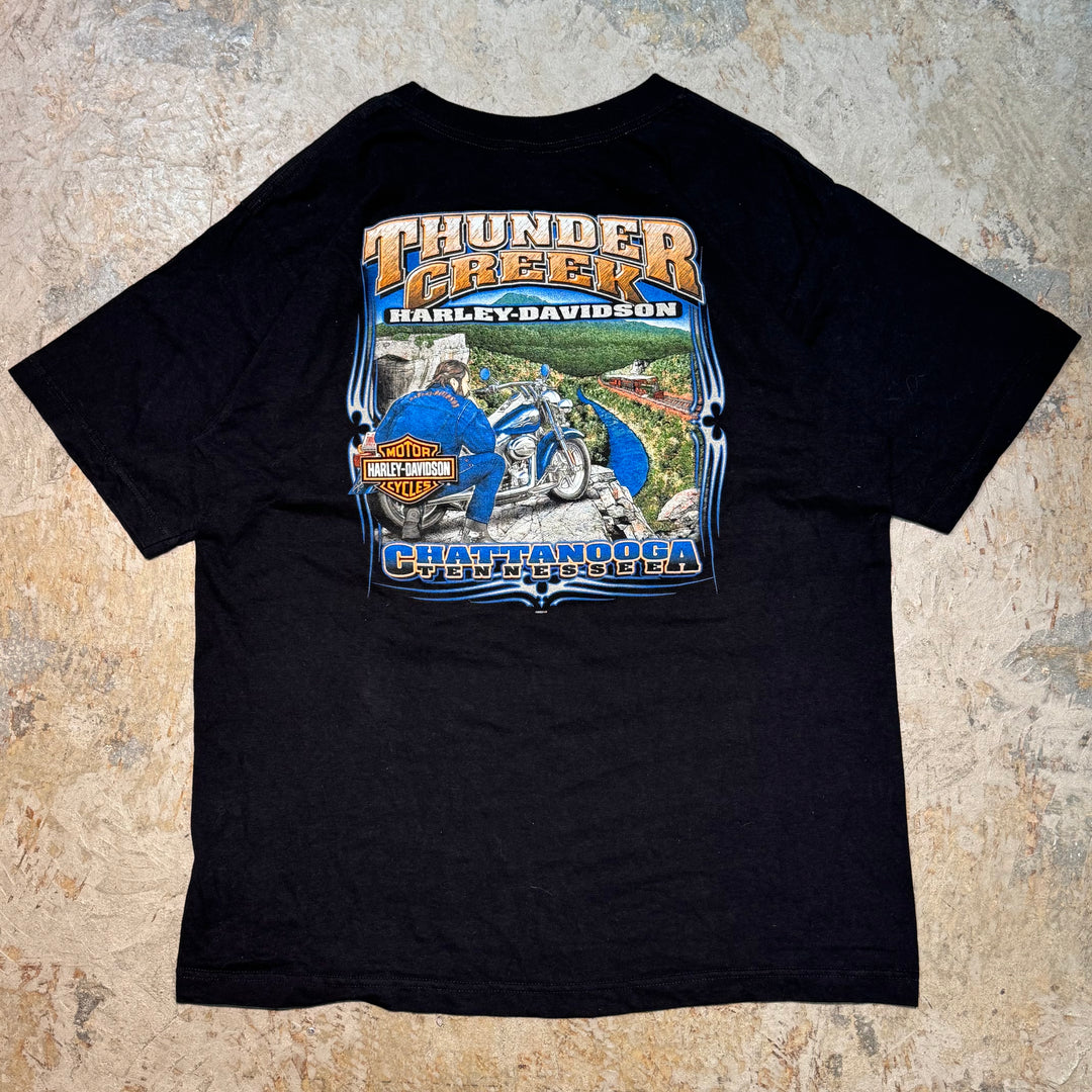 古着 Harley-Davidson/ハーレーダビッドソン/ プリントTシャツ/ サイズXL