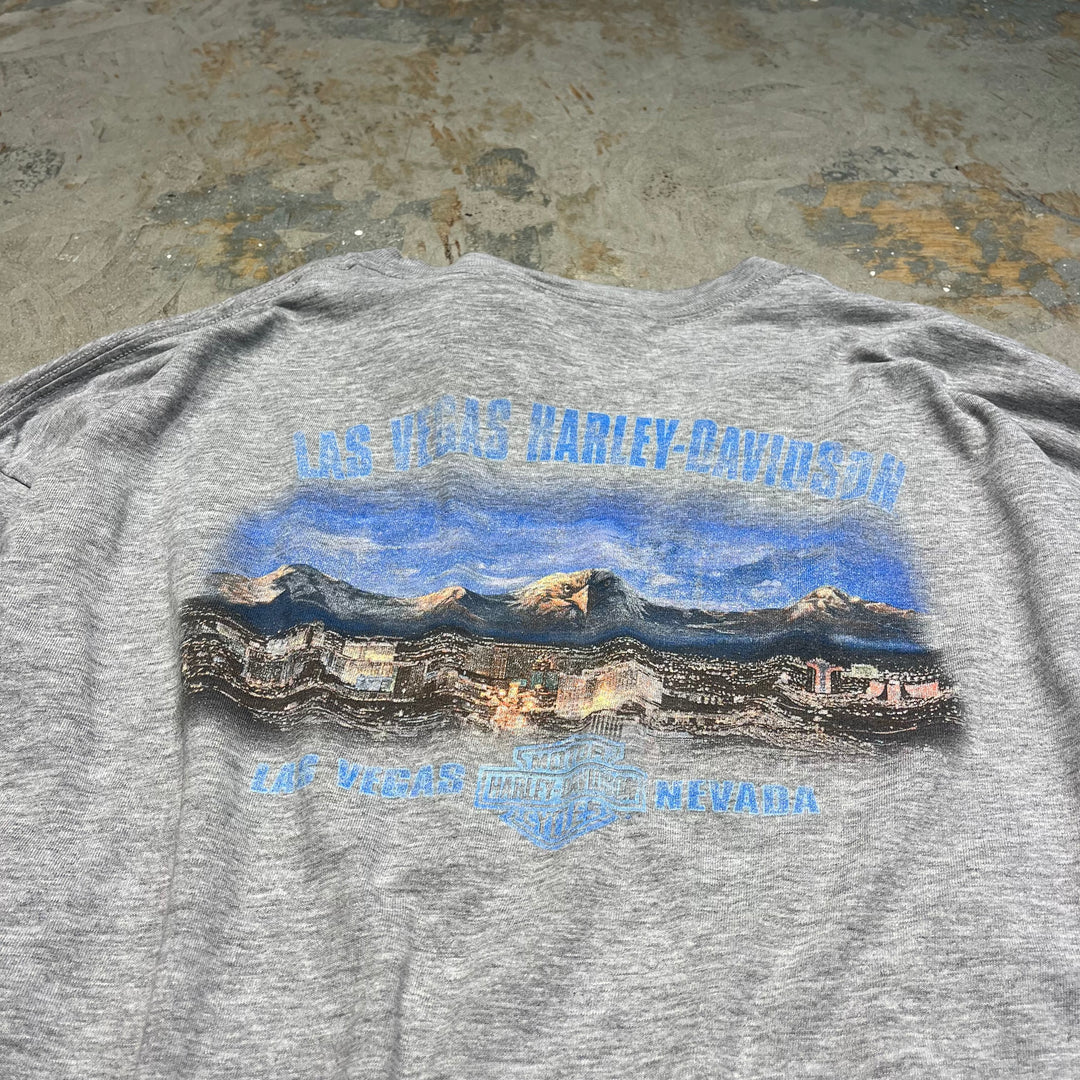 古着 Harley-Davidson/ハーレー ダビッドソン/ラスベガス/ネバダ州/プリントロングTシャツ サイズXXL