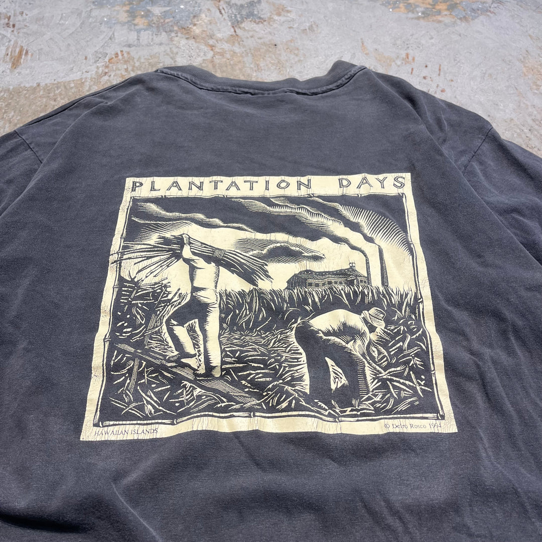 古着 90's~ ヘインズ/"plantation days"/農業/ヴィンテージ シングルステッチ プリントTシャツ/サイズL