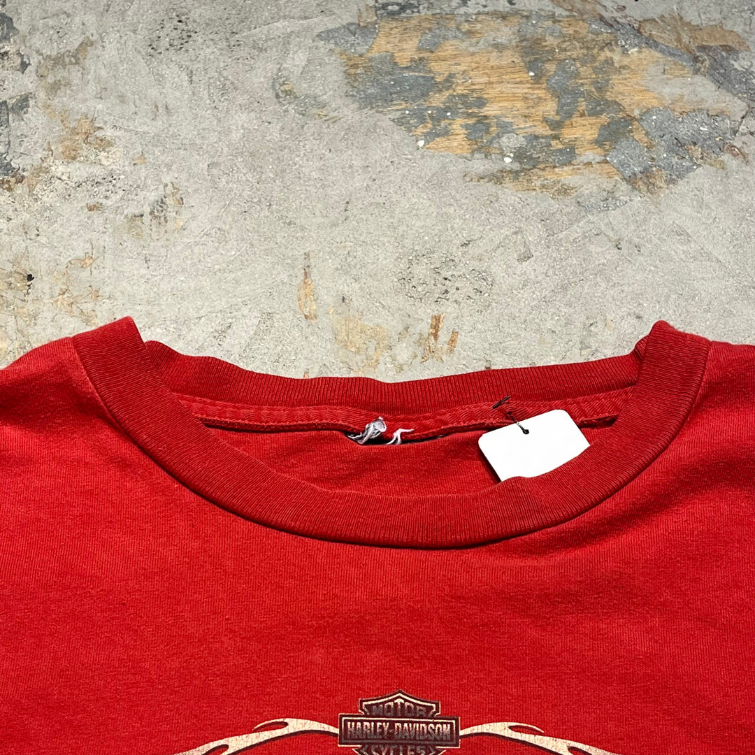 古着 Harley-Davidson/ハーレー ダビッドソン ジョージア州 ロズウェル キラー･クリーク店 プリントTシャツ サイズXL相当