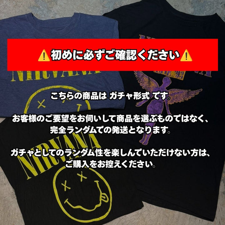 《残り100口》Carhartt,Dickies,LEVI'Sが確定で当たる。コスパ最強”夏ガチャBOX(2着セット)