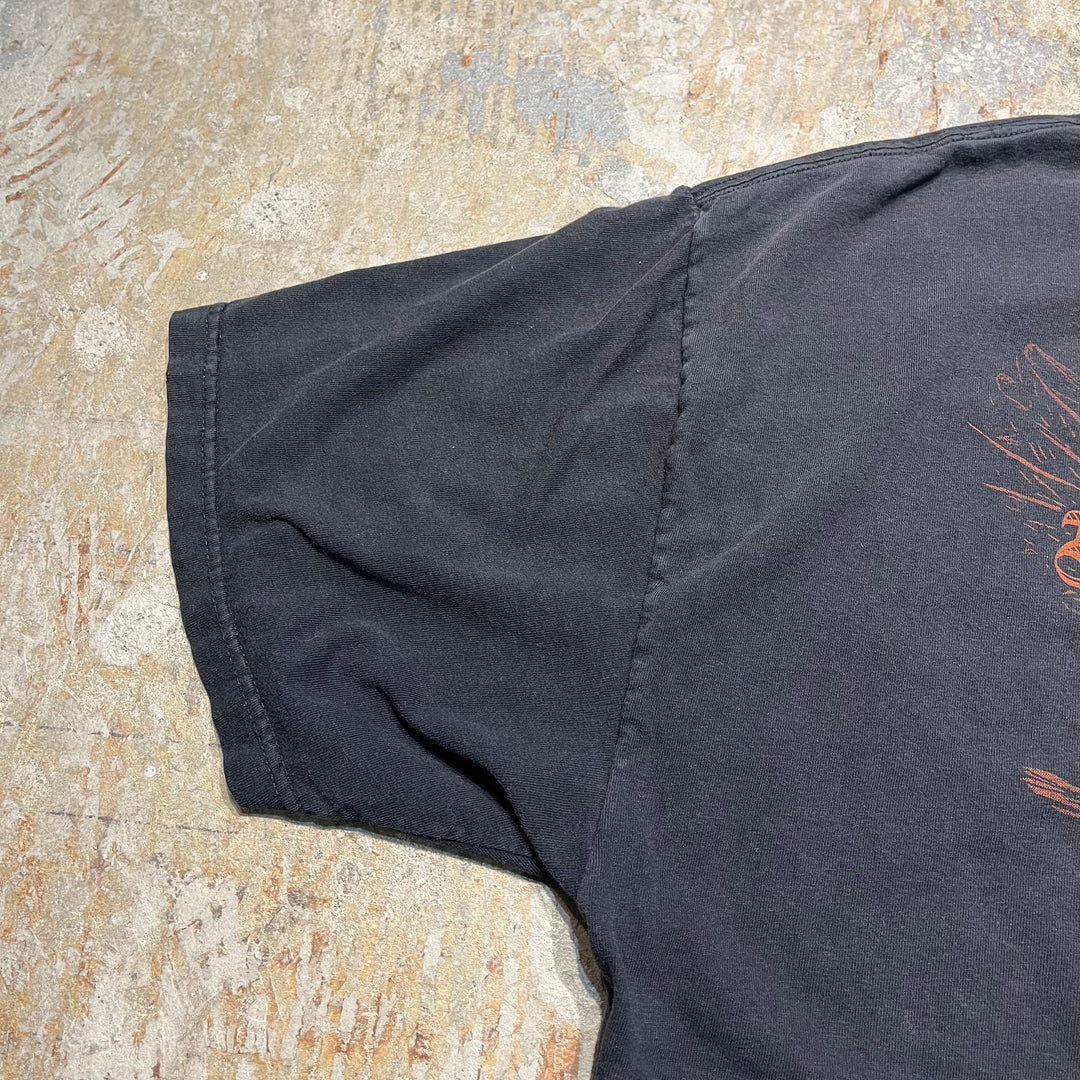 古着 USA製 Harley-Davidson/ハーレー ダビッドソン/hawkeye/LIVE TO RIDE/ワールドクラス モーターサイクルズ/プリントTシャツ サイズXXL