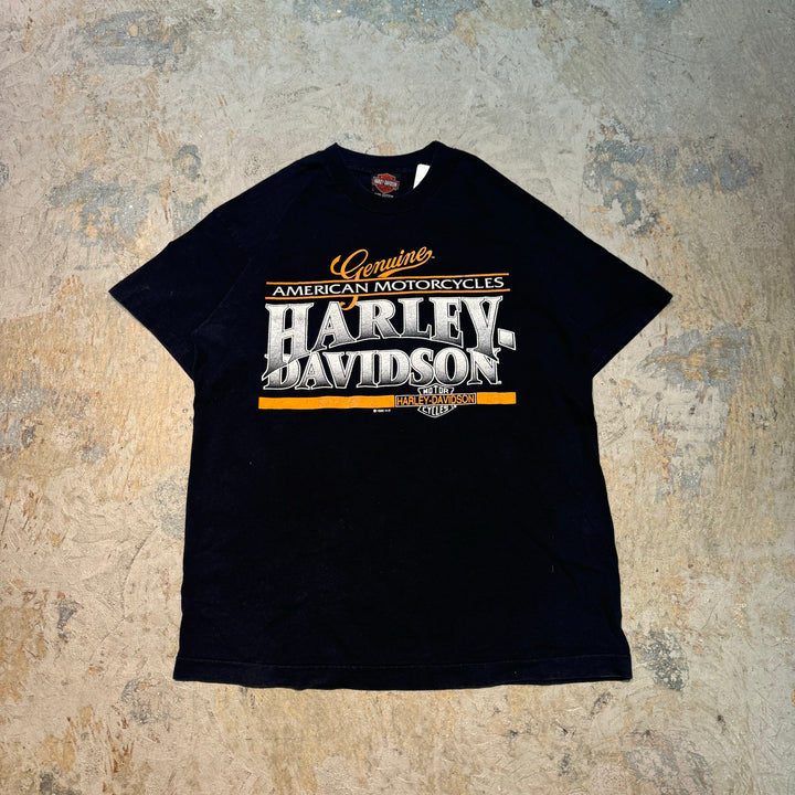 古着 USA製 95's Harley-Davidson/ハーレーダビッドソン/ プリントTシャツ/ シングルステッチ/ サイズL