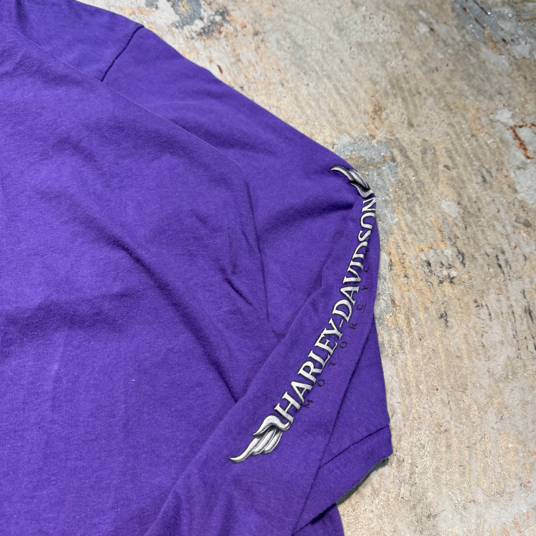 古着 USA製 Harley-Davidson/ハーレーダビッドソン/ プリントロングTシャツ/ XL