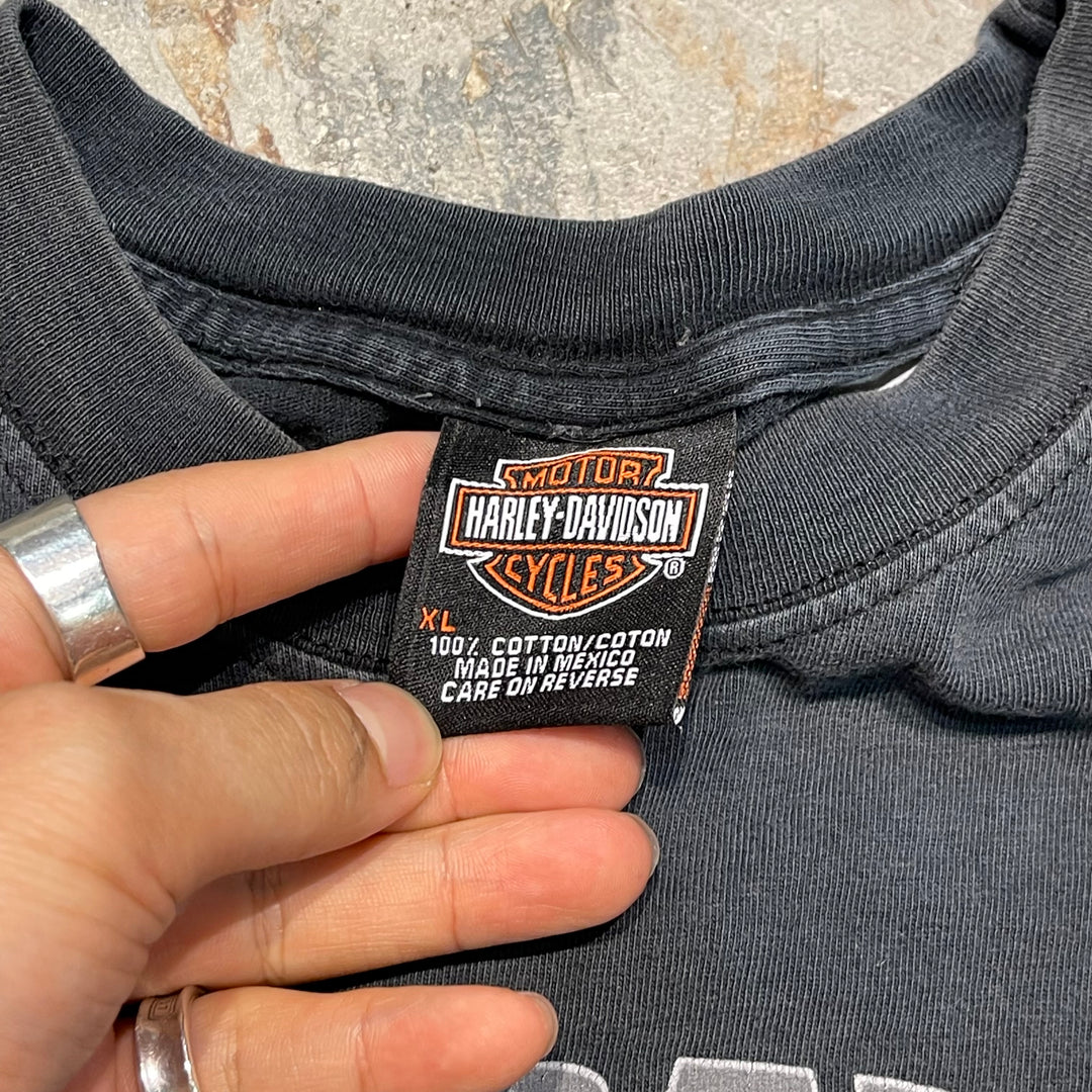古着 USA製 Harley-Davidson/ハーレー ダビッドソン / フランス ビアレッツ ストア/ プリントTシャツ / サイズXL