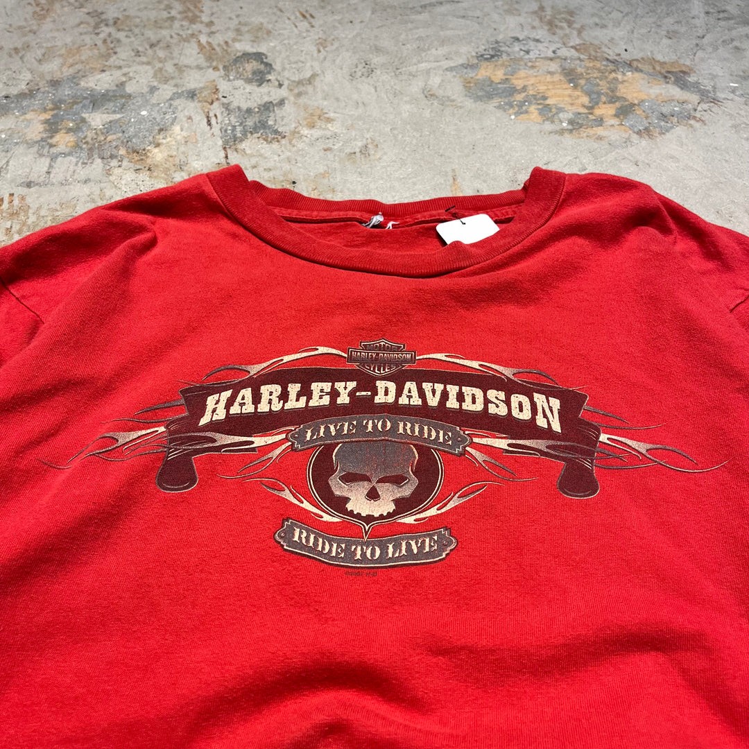古着 Harley-Davidson/ハーレー ダビッドソン ジョージア州 ロズウェル キラー･クリーク店 プリントTシャツ サイズXL相当