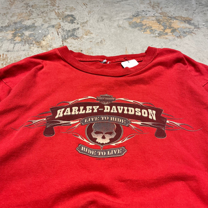 古着 Harley-Davidson/ハーレー ダビッドソン ジョージア州 ロズウェル キラー･クリーク店 プリントTシャツ サイズXL相当