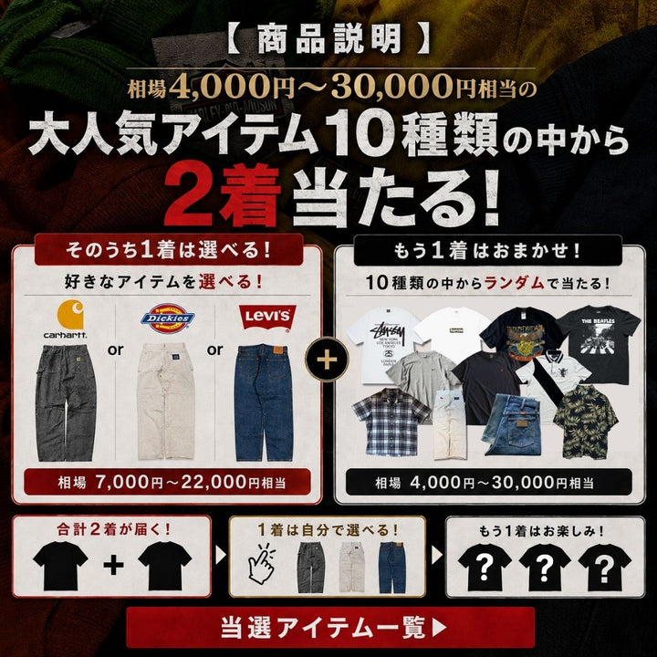 《残り100口》Carhartt,Dickies,LEVI'Sが確定で当たる。コスパ最強”夏ガチャBOX(2着セット)