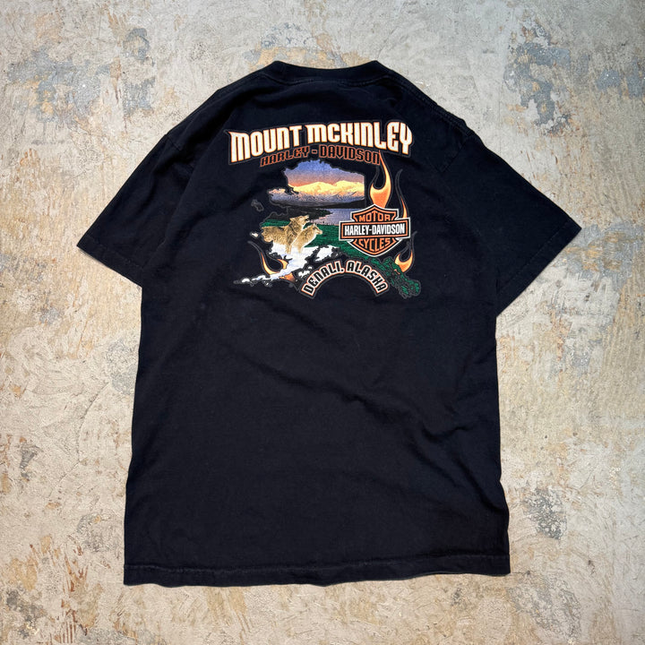 古着 USA製 Harley-Davidson/ハーレーダビッドソン/ プリントTシャツ/ サイズL