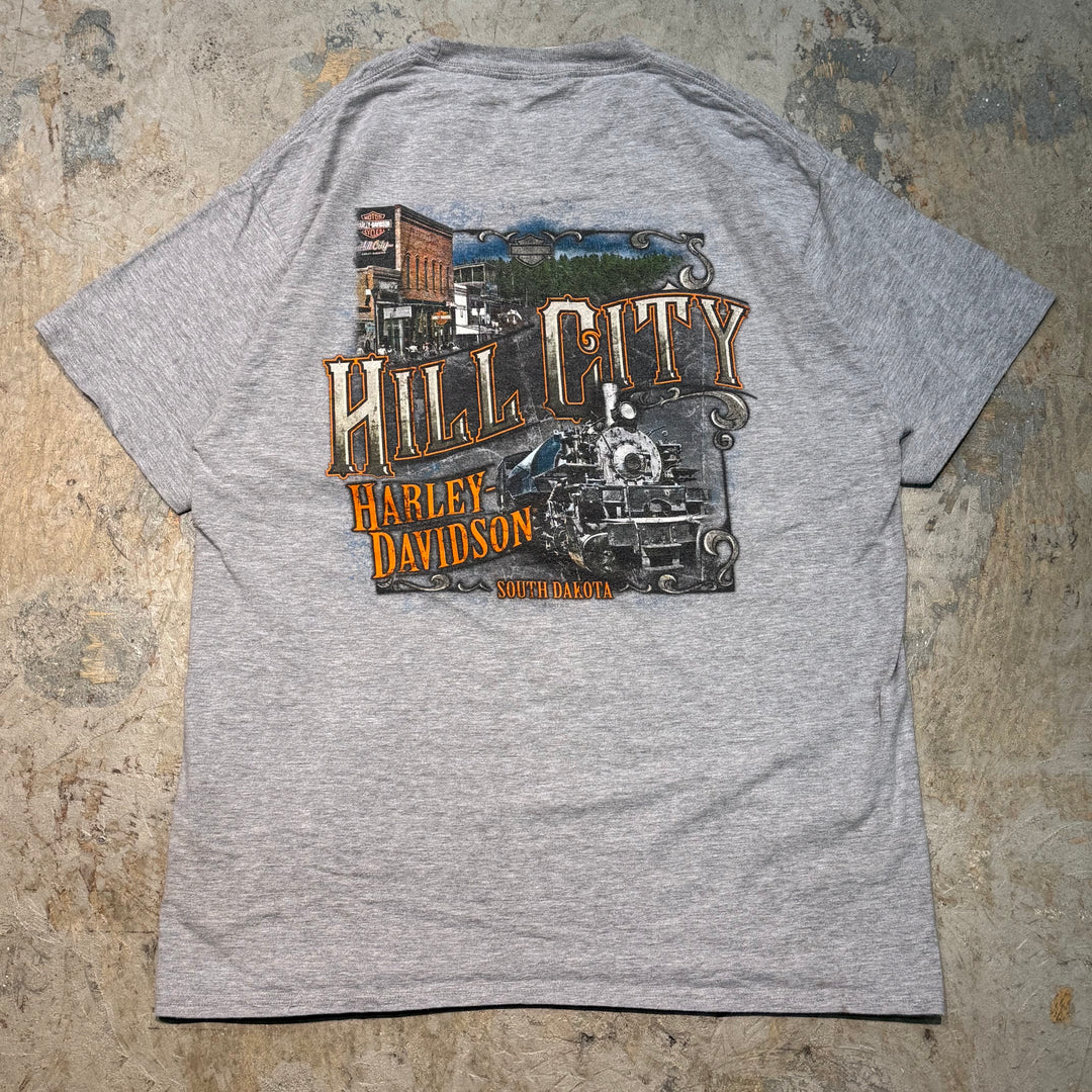 古着 Harley-Davidson/ハーレーダビッドソン/ プリントTシャツ/ サイズL相当