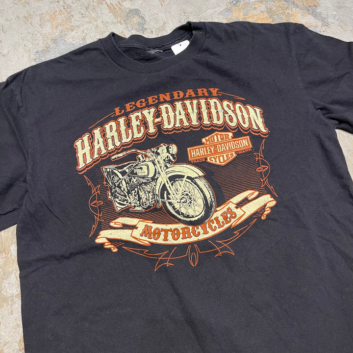 #4498 古着 Harley-Davidson/ハーレーダビッドソン/short sleeve print t-shirt Tee/半袖プリントTシャツ/サイズL相当