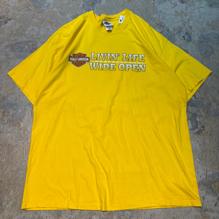 古着 USA製 Harley-Davidson/ハーレーダビッドソン/ プリントTシャツ/ サイズ2XL