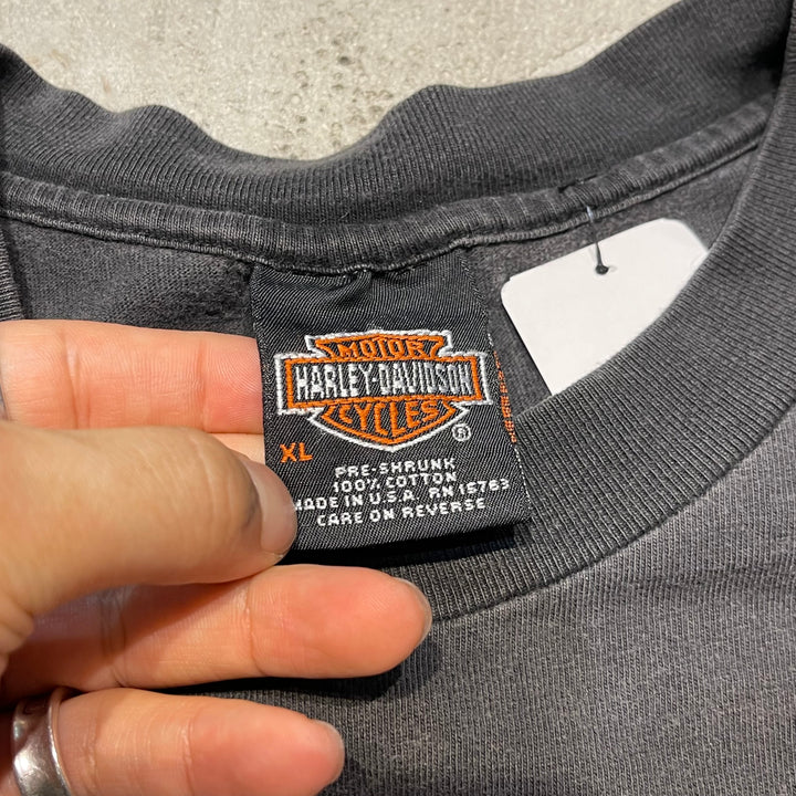 古着 99's USA製 Harley-Davidson/ハーレー ダビッドソン / CRUISING THE CHESAPEAKE REGION / メリーランド州ボルチモアストア / プリントTシャツ / サイズM