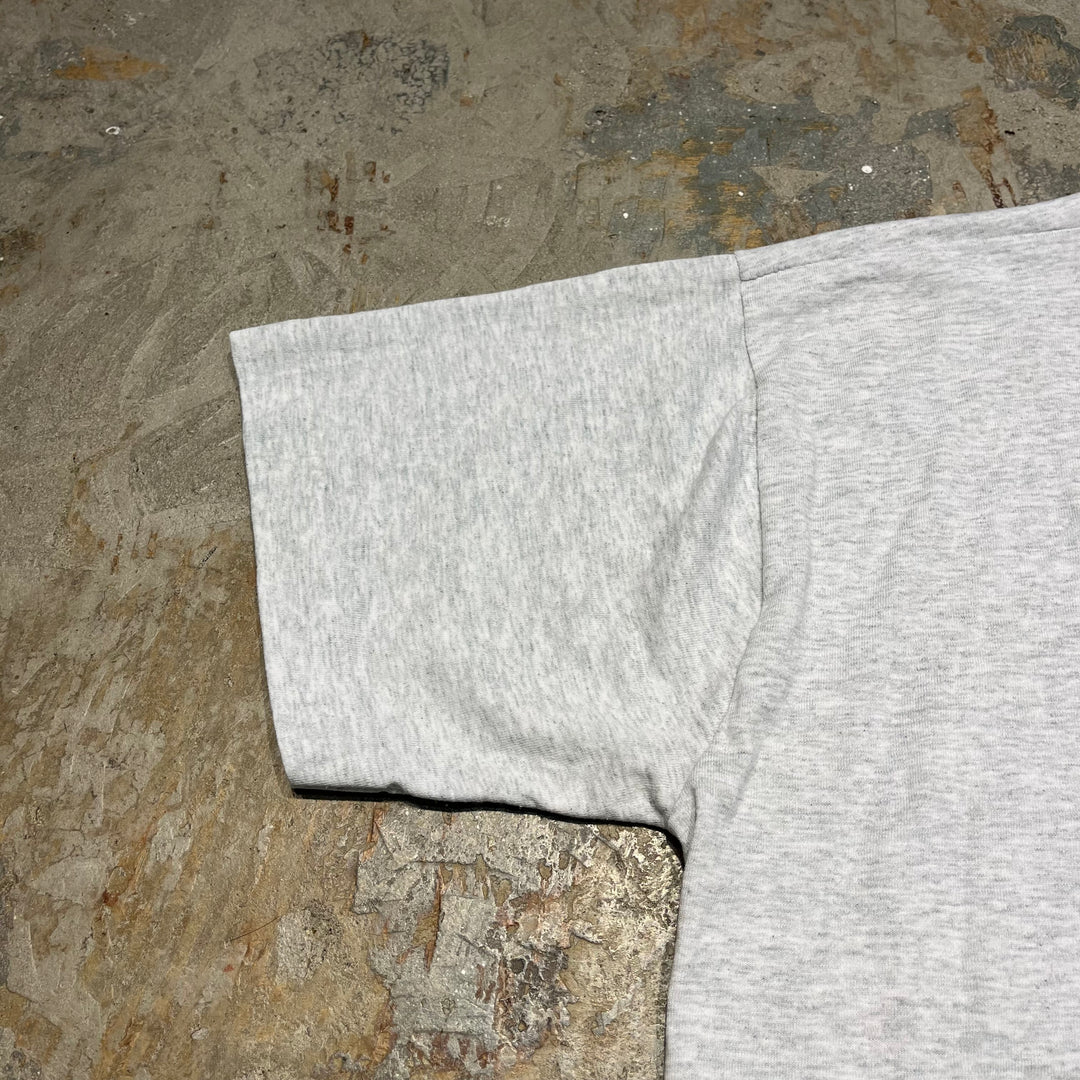 古着 90's フルーツオブザルーム/DUCK/鴨/アート/ヴィンテージ シングルステッチ プリントTシャツ/サイズL
