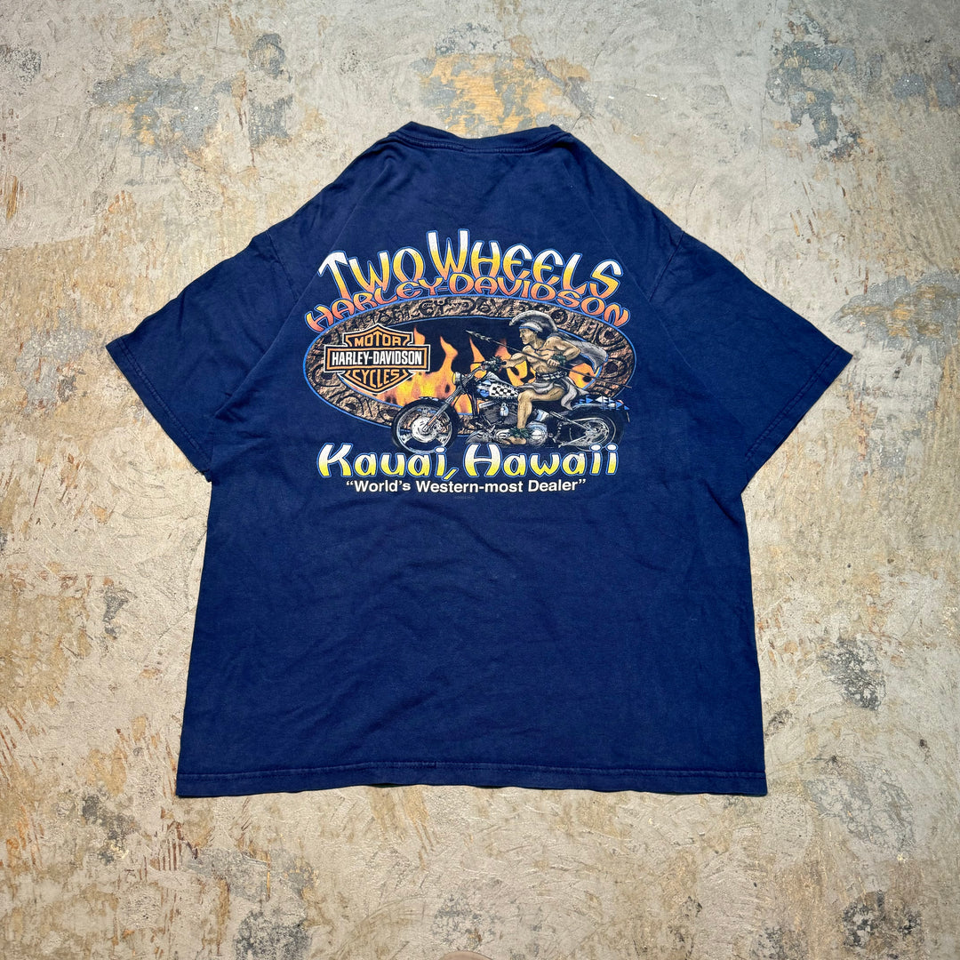 古着 USA製 Harley-Davidson/ハーレーダビッドソン/ プリントTシャツ/ サイズL
