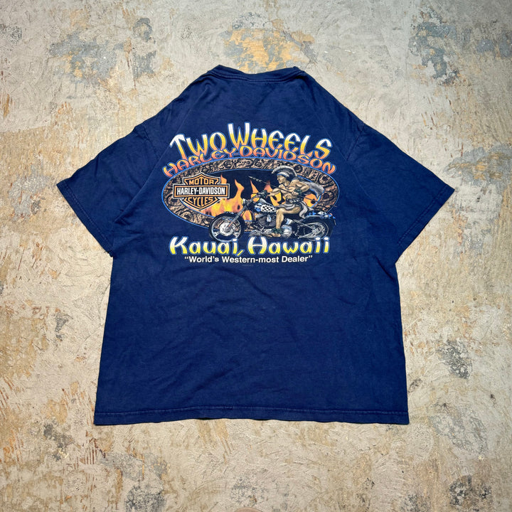 古着 USA製 Harley-Davidson/ハーレーダビッドソン/ プリントTシャツ/ サイズL