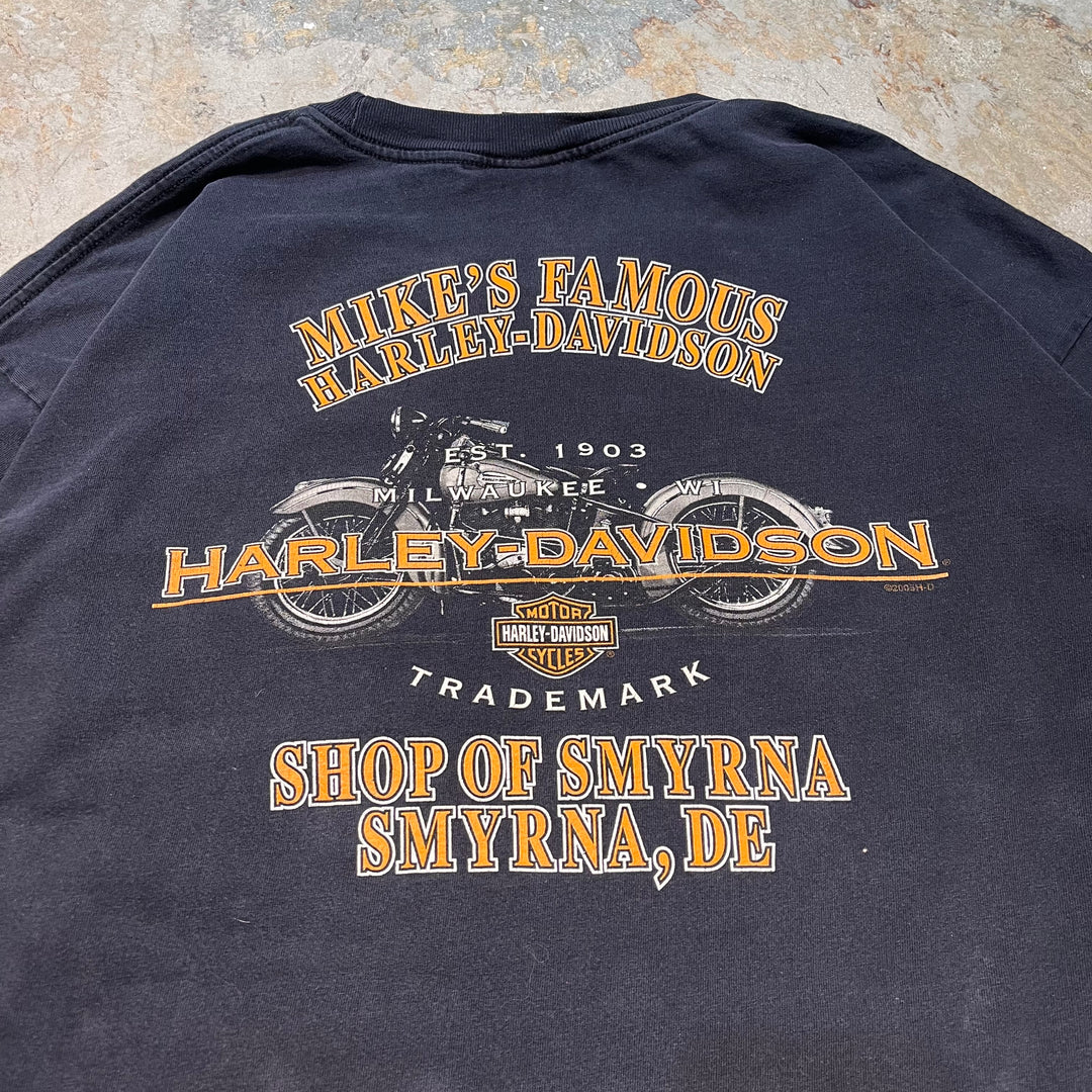 古着 USA製 Harley-Davidson/ハーレーダビッドソン/ プリントロングTシャツ/ サイズ2XL