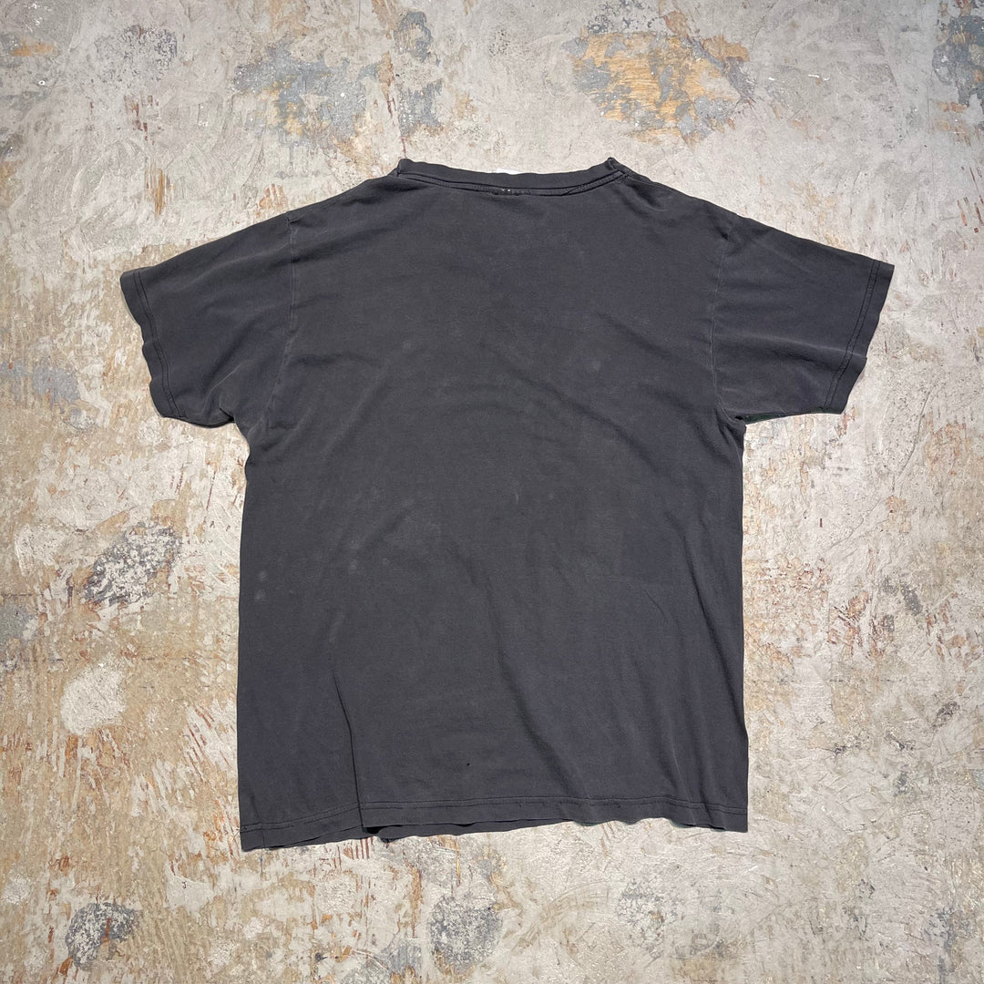 古着 USAVINtage / プロレス / WWE レッスルマニア21 / 2005.2.4RAW公演記念 / イベントTシャツ / サイズM