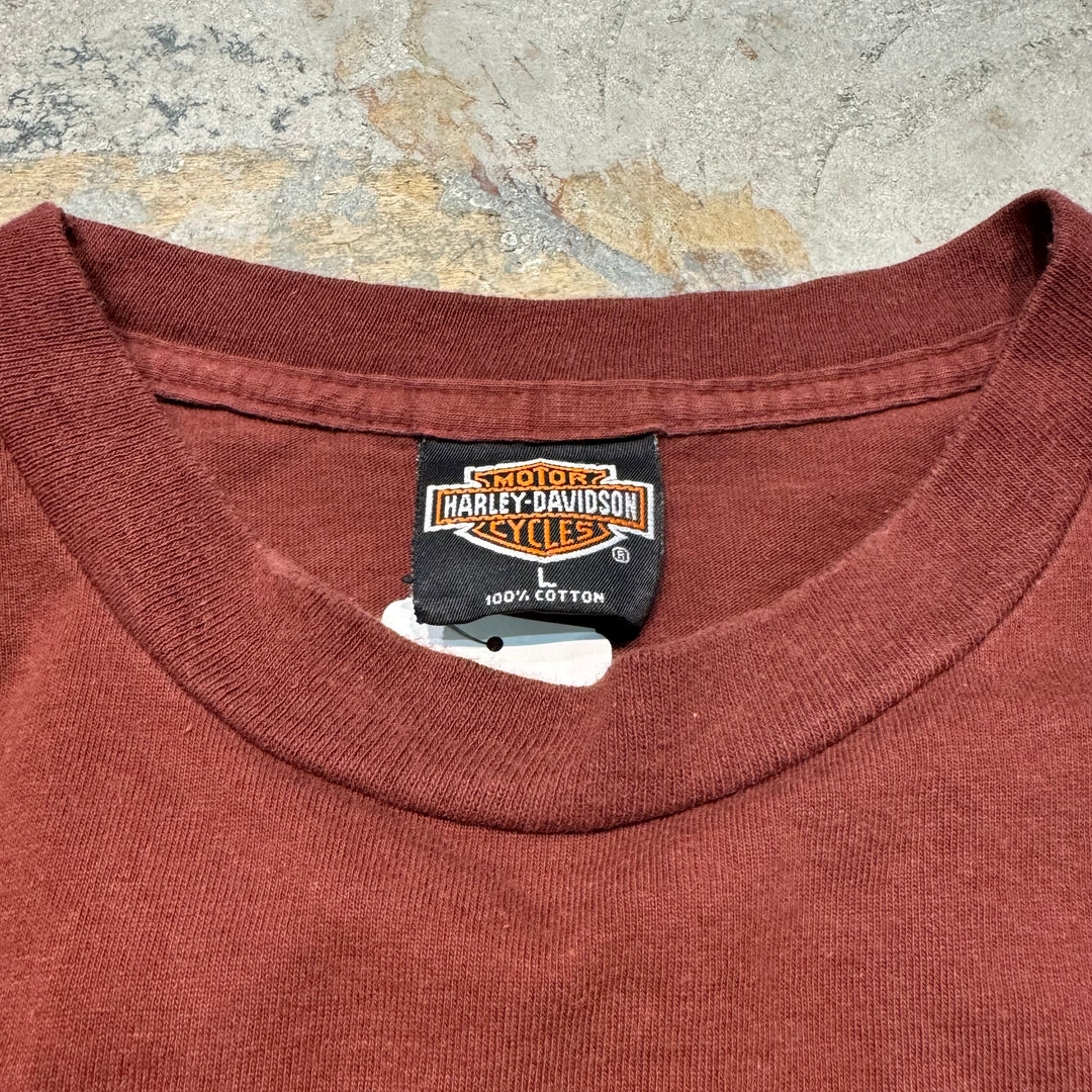 古着 USA製 Harley-Davidson/ハーレーダビッドソン/ プリントTシャツ / PRESTONSBURG, KY/ サイズL
