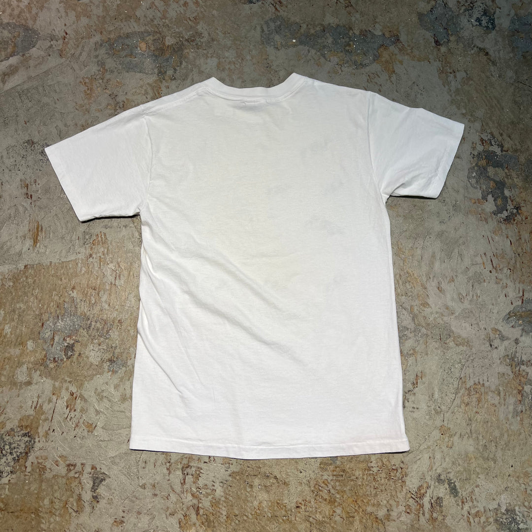 古着 USA製 93's All Sport/Celnstial Cows/天の牛/ヴィンテージ シングルステッチ プリントTシャツ/サイズM