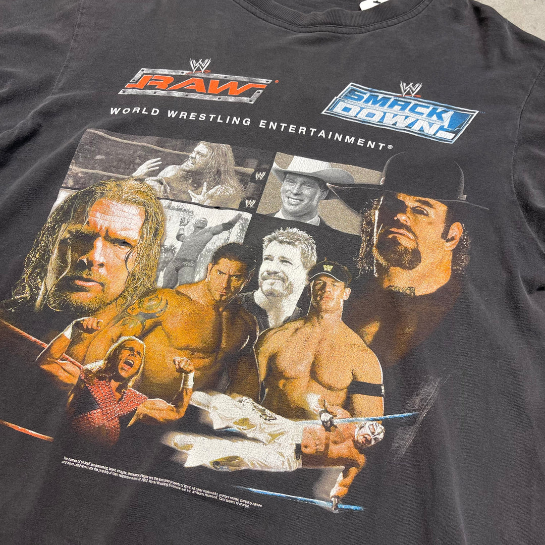 古着 USAVINtage / プロレス / WWE レッスルマニア21 / 2005.2.4RAW公演記念 / イベントTシャツ / サイズM