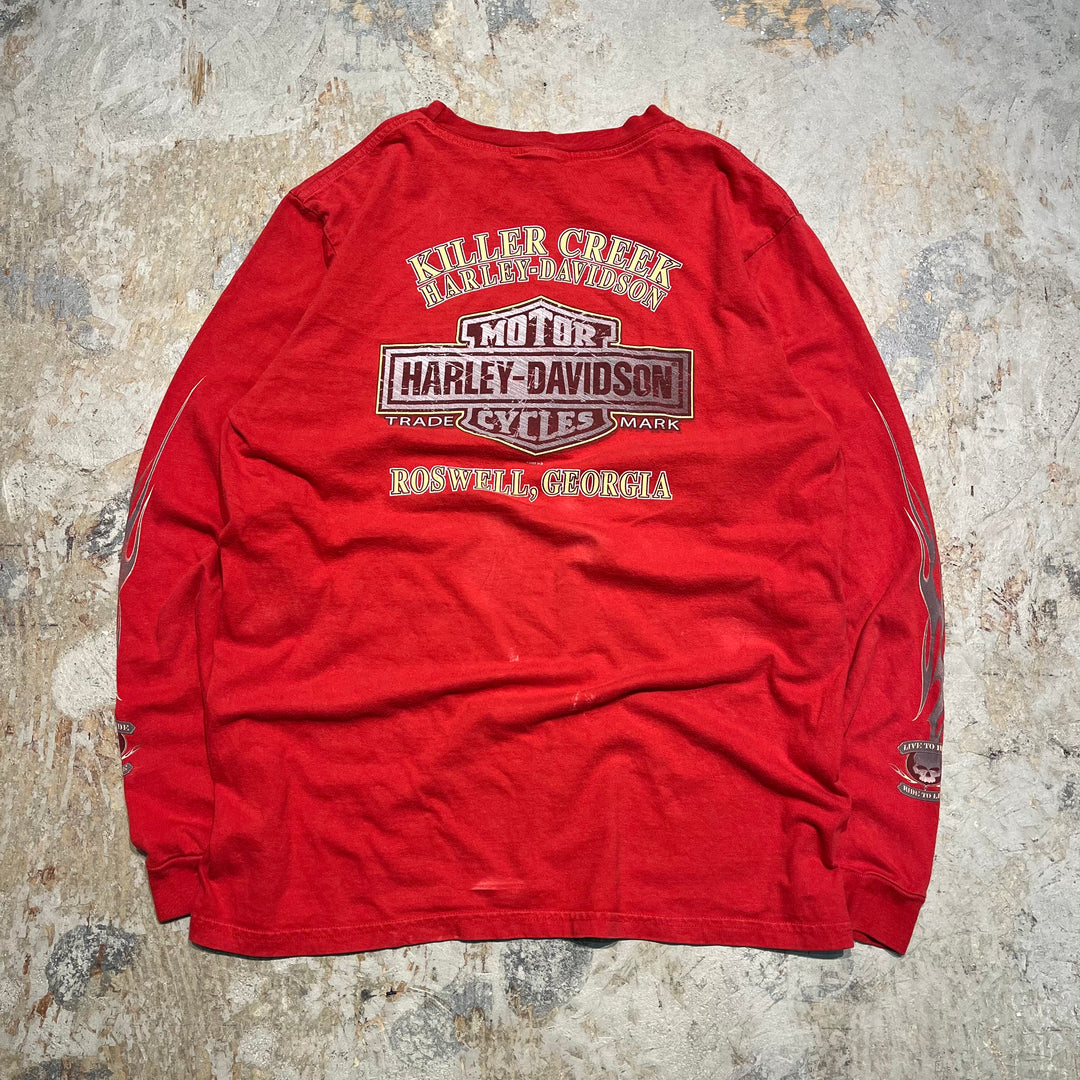 古着 Harley-Davidson/ハーレー ダビッドソン ジョージア州 ロズウェル キラー･クリーク店 プリントTシャツ サイズXL相当