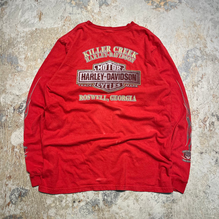 古着 Harley-Davidson/ハーレー ダビッドソン ジョージア州 ロズウェル キラー･クリーク店 プリントTシャツ サイズXL相当