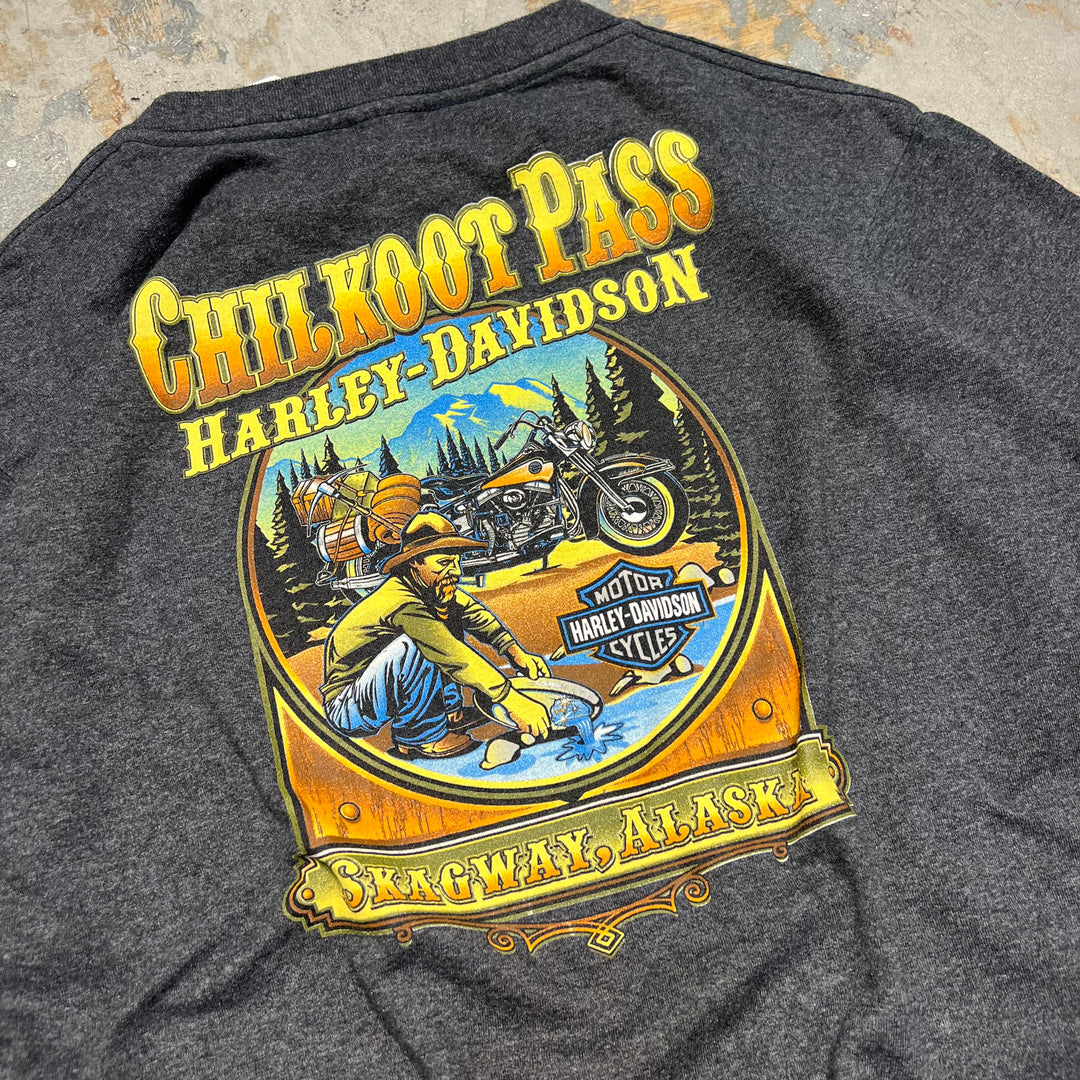 古着 Harley-Davidson  /ハーレー ダビッドソン / アラスカ州 スカグウェイ/ チルクートパス / 峠 / プリントTシャツ / サイズXL相当
