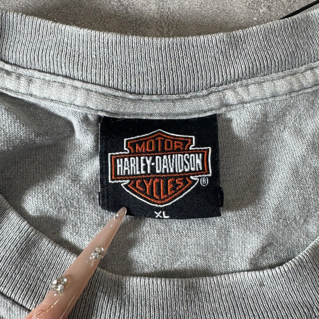 古着 USA製 Harley-Davidson ハーレーダビッドソン プリントTシャツ シングルステッチ サイズXL