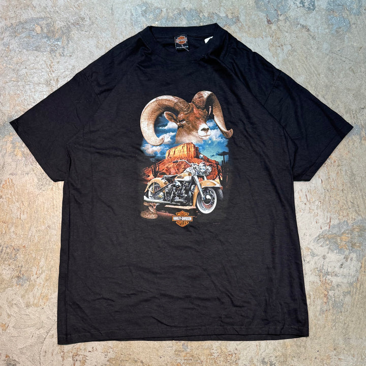 古着 USA製 00's Harley-Davidson/ハーレーダビッドソン/ プリントTシャツ/サイズXL