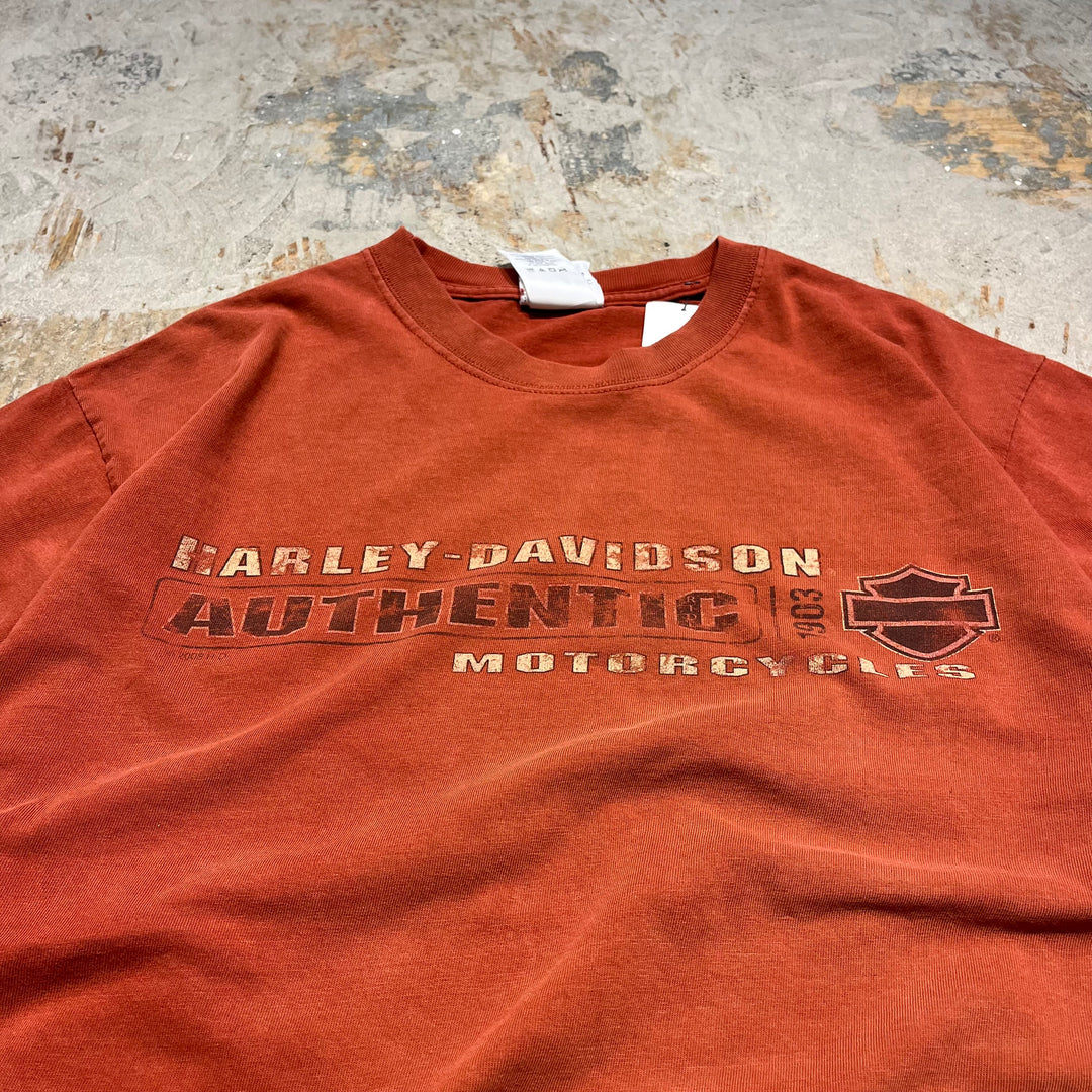古着 USA製 Harley-Davidson/ハーレー ダビッドソン ワシントン州 ダウンタウン･シアトル プリントTシャツ サイズL