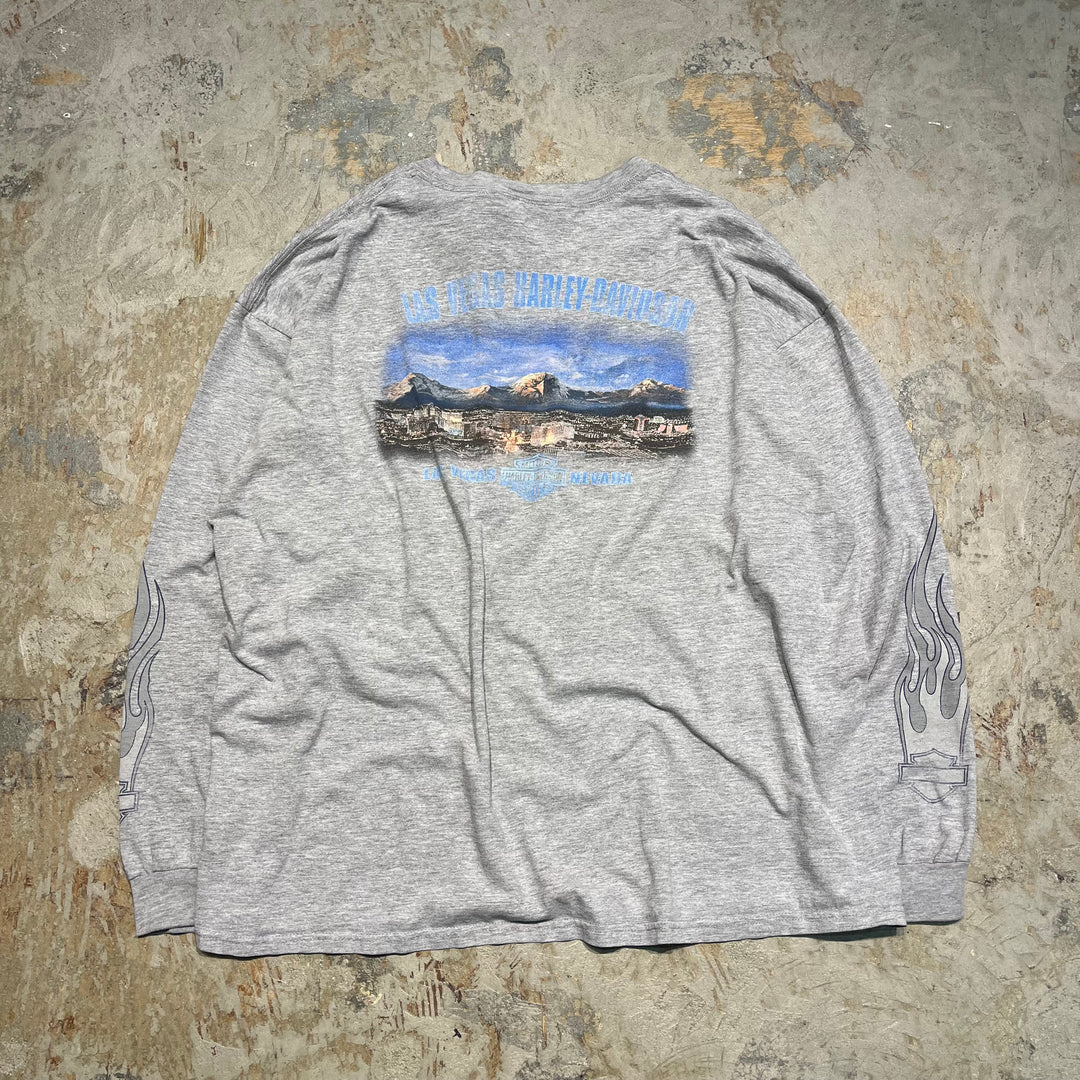 古着 Harley-Davidson/ハーレー ダビッドソン/ラスベガス/ネバダ州/プリントロングTシャツ サイズXXL