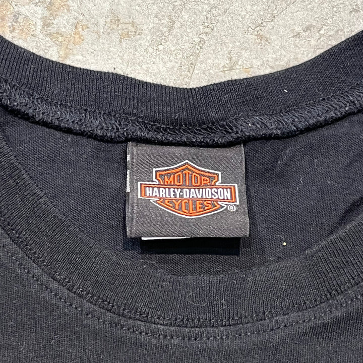 古着 Harley-Davidson/ハーレーダビッドソン/ ノースリーブ/ サイズL