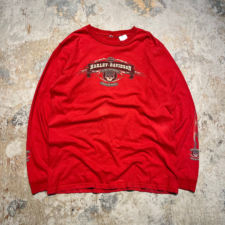 古着 Harley-Davidson/ハーレー ダビッドソン ジョージア州 ロズウェル キラー･クリーク店 プリントTシャツ サイズXL相当