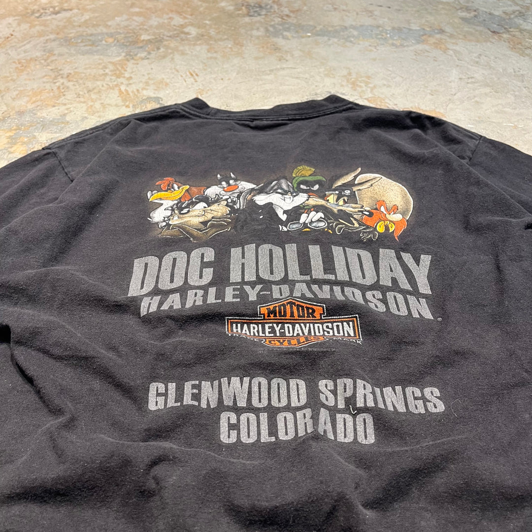 古着 Harley-Davidson/ハーレー ダビッドソン / ワーナーブラザーズ / コロラド州 グレンウッド･スプリングス ストア  / プリントTシャツ / サイズL相当