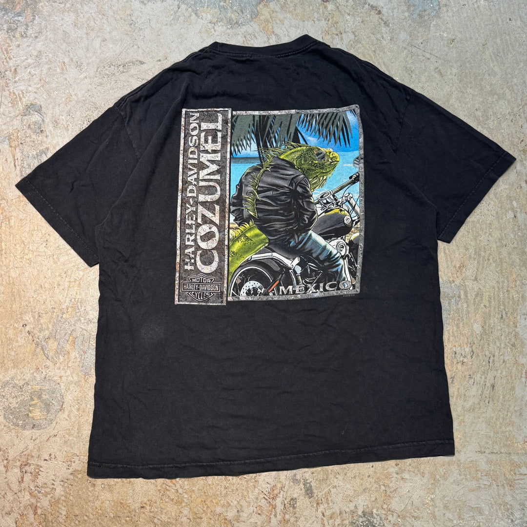 古着 Harley-Davidson/ハーレーダビッドソン/ プリントTシャツ/ サイズXL
