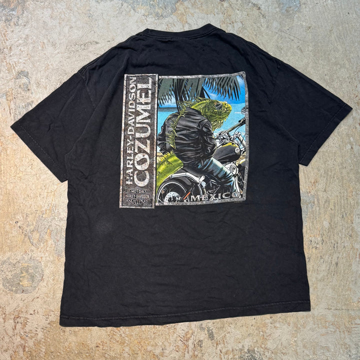 古着 Harley-Davidson/ハーレーダビッドソン/ プリントTシャツ/ サイズXL