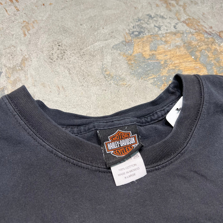 古着 Harley-Davidson/ハーレー ダビッドソン / ALEFS / カンザス州 ウィチタ ストア / プリントTシャツ / サイズxl