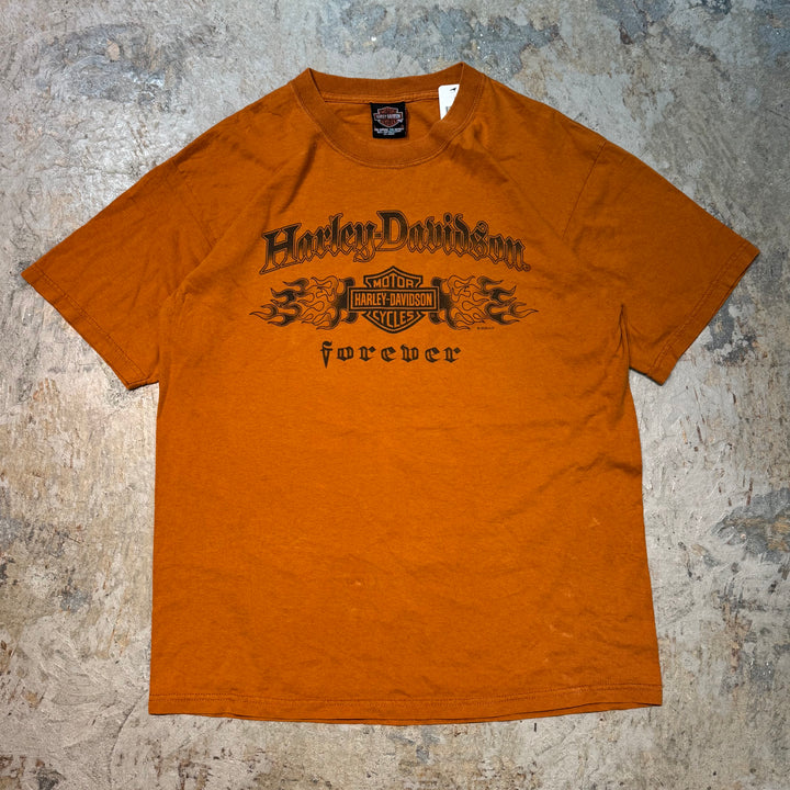 古着 Harley-Davidson/ハーレーダビッドソン/ プリントTシャツ/サイズL