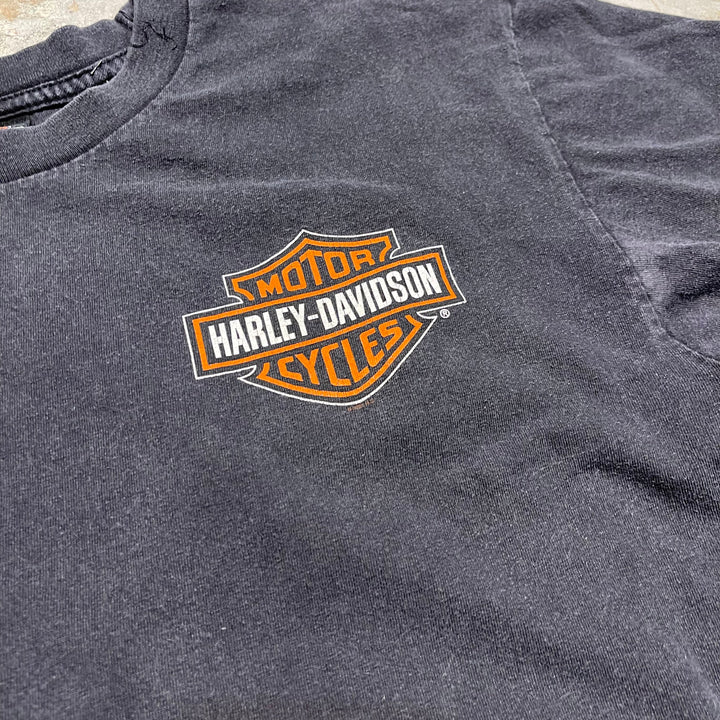 古着 USA製 Harley-Davidson/ハーレー ダビッドソン / フロリダ州パナマ･シティ･ビーチ ストア/ プリントTシャツ / サイズL相当