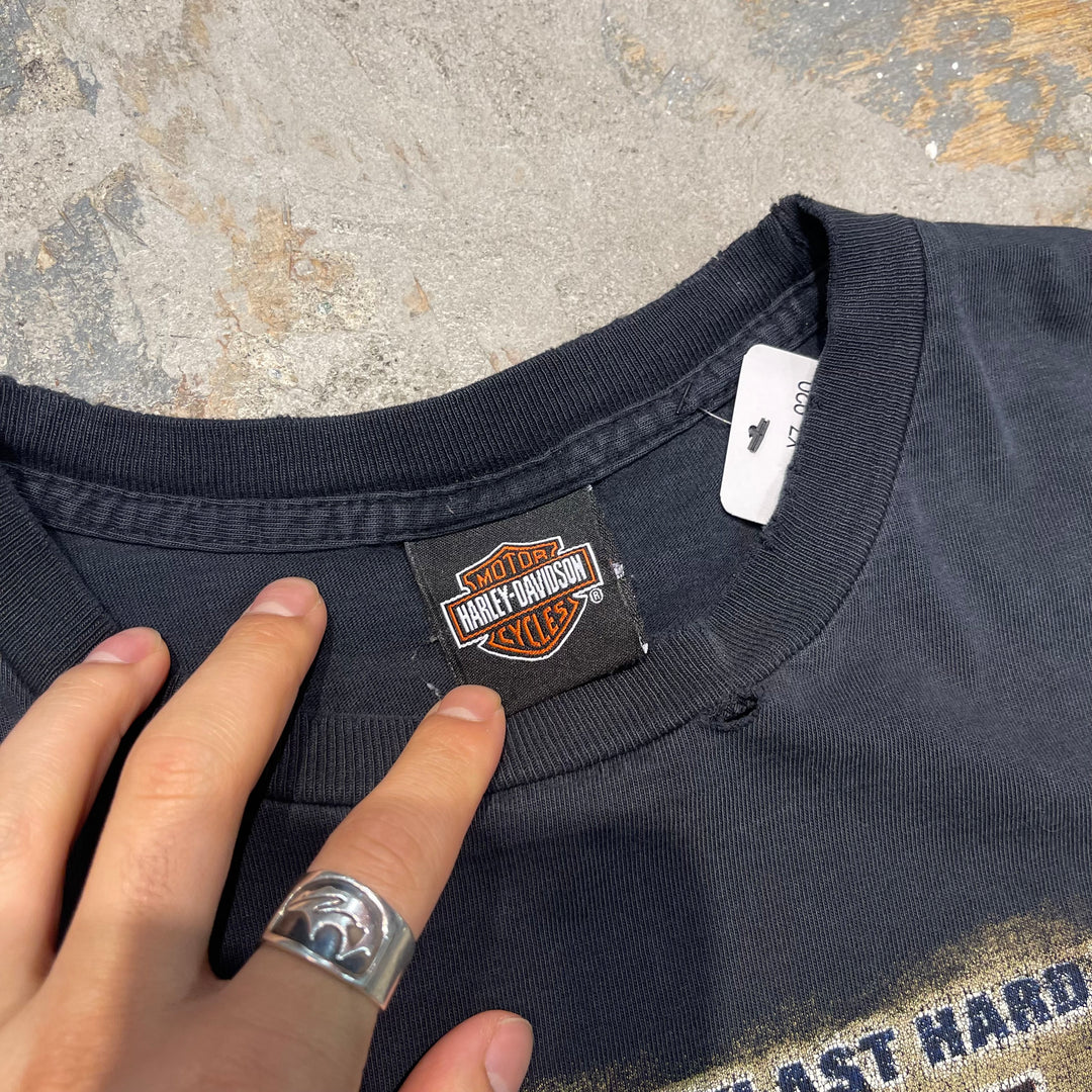 古着 Harley-Davidson/ハーレーダビッドソン/ミネソタ州ウィノナ/プリントTシャツ/サイズL相当